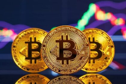 What should we expect from BTC next? Will it fall or rise? Analyst comments!