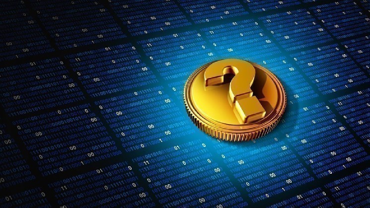 Top 10 altcoins that crypto developers are most focused on last week - this is the list