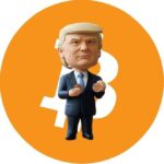 Is there a crack in the Trump Memo Coin Team? The latest wallet move rejected by Trump's son - what's going on?