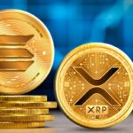 XRP and Solana will go to the treasury of Everything Blockchain