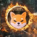 Shib Burns Rocket 1,488%As100,530,829 Shib disappears in two moves