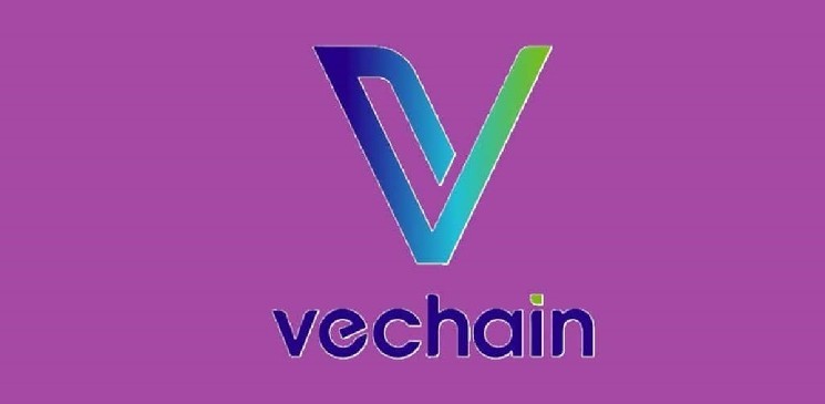 Vechain's Stargate will be live on July 1st - is this the most powerful upgrade ever?