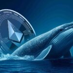 With this strong support and accumulation of whales, can Ethereum prices reach $4K?