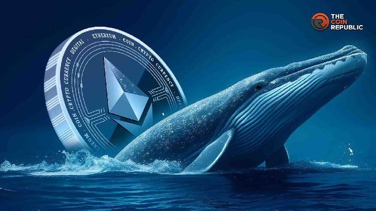 With this strong support and accumulation of whales, can Ethereum prices reach $4K?