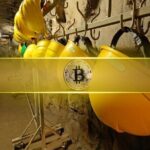BTC.com MINING The pool promotes 98% of Bitcoin Mine Binance flows