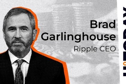Ripple CEO breaks silence with the company's academic blockchain vision