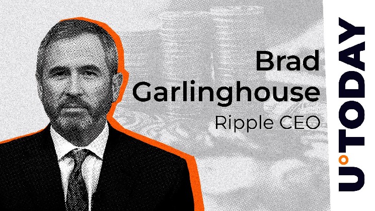 Ripple CEO breaks silence with the company's academic blockchain vision