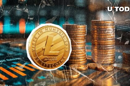 With 105,900,000 litecoin 24 hours, LTC Whale set a new milestone