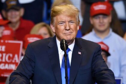 Donald Trump's crypto portfolio loses 78% value in the first half of 2025
