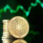 BlackRock BTC