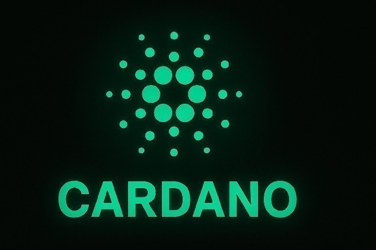 Cardano announces visual tools to help users navigate governance structures