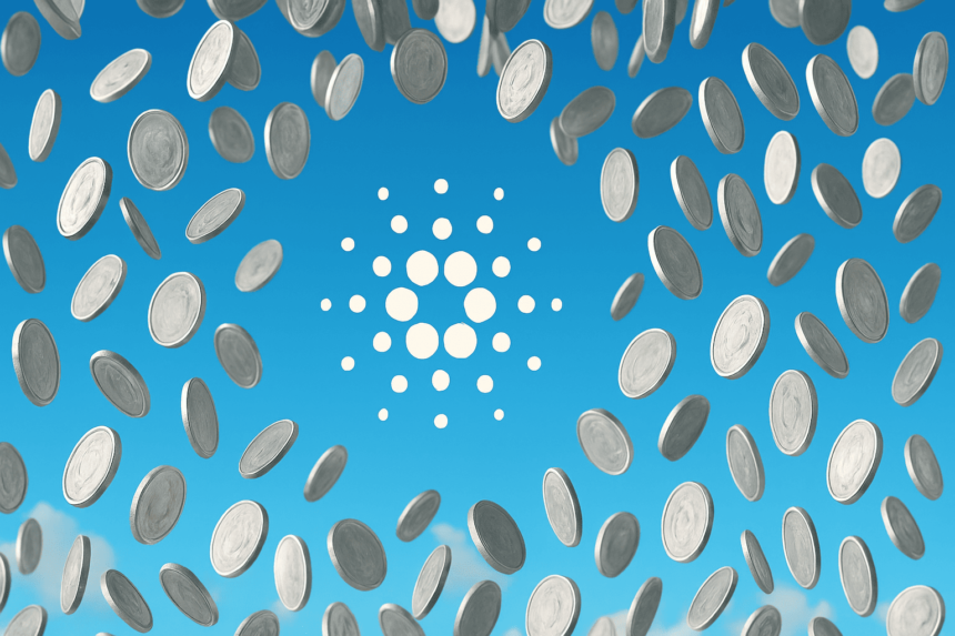 Ledger Wallets obstruct the Airdrop driven by Cardano CEO