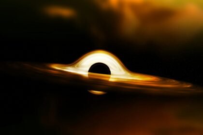 Metaplanet