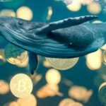 Bitcoin suffers the greatest liquidation of whales since 2022