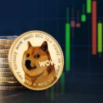 A Doge avalanche continues to reach corporate treasury