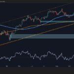 BTC falls $20,000 from ATH, first signs of weakness appear