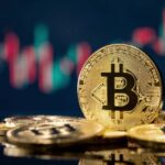 Bitcoin is having a millionaire profits with this rise