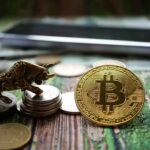 Roxom, the stock exchange with bitcoin as its native currency, is now operational