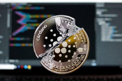Cardano suffers paralysis in its governance