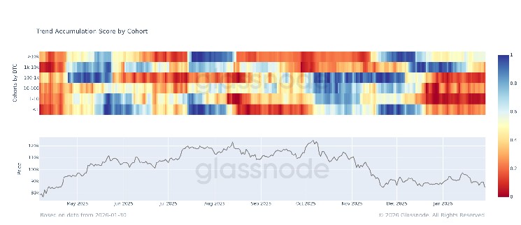 Amid Bitcoin's sharp decline, individual traders are retreating, but "giant whales" are quietly buying momentum.