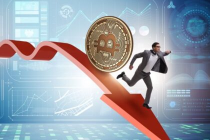 BRICS flags countries