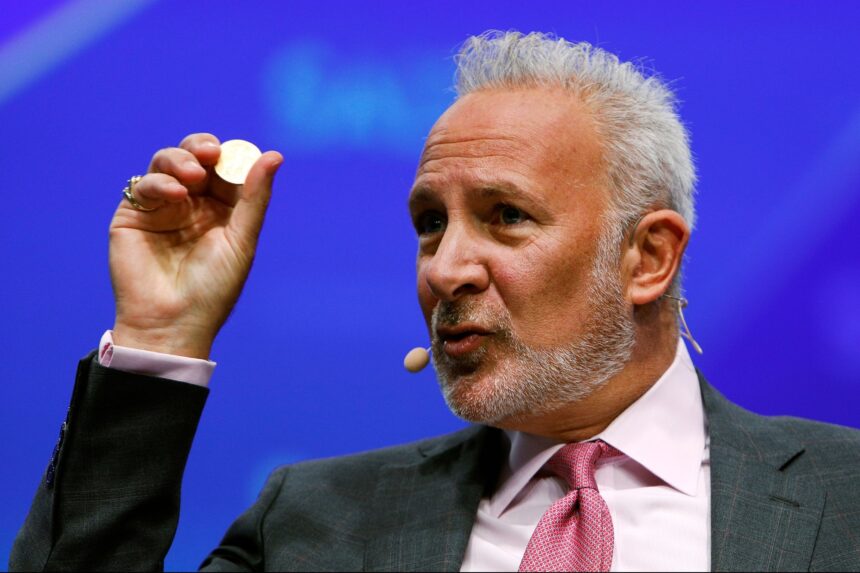 Peter Schiff questions new mortgages with bitcoin and USDC, “increases risk”