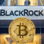 Bitcoin BTC Crash